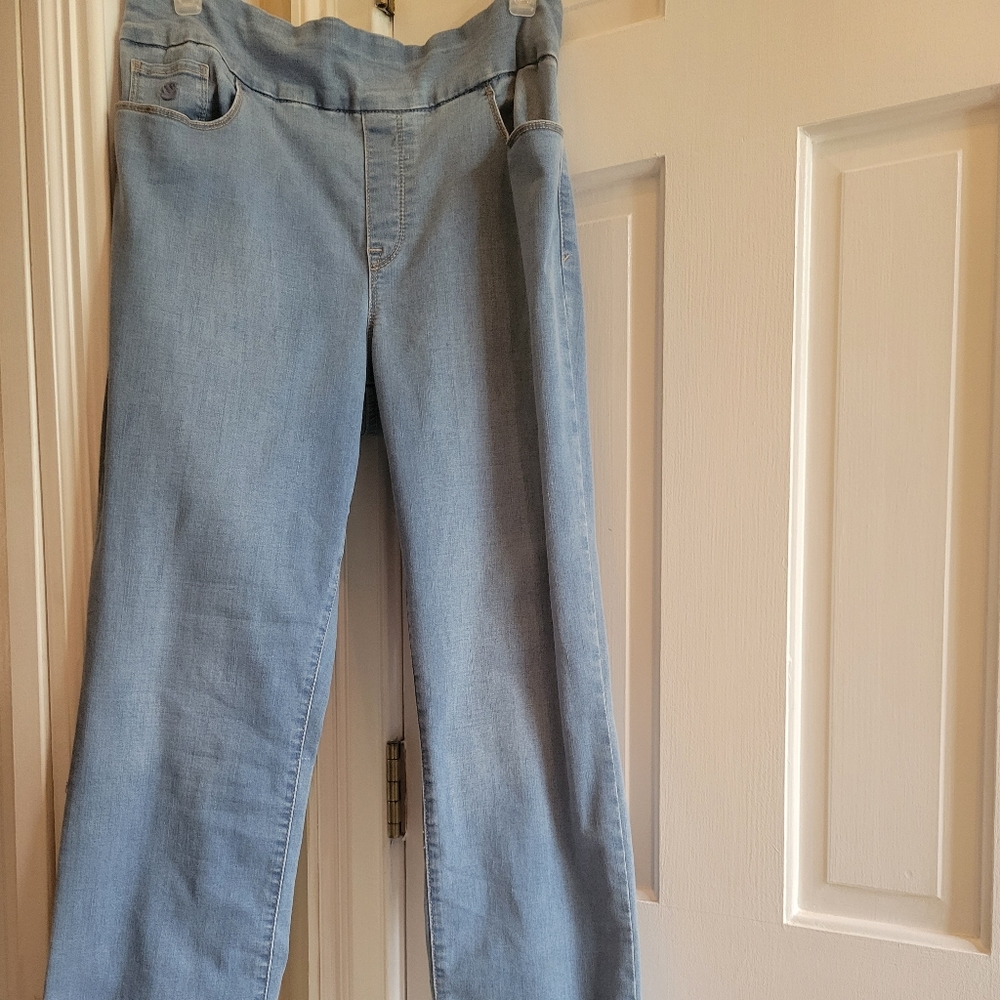 Gloria Vanderbilt Amanda Pull On Jean